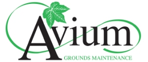 Avium Grounds Maintenance Swindon Logo
